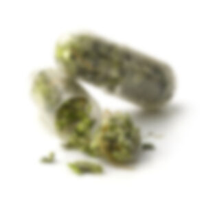 Marijuana oil cbd bottle