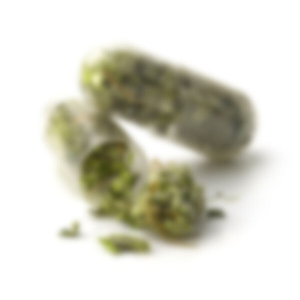 Marijuana oil cbd bottle