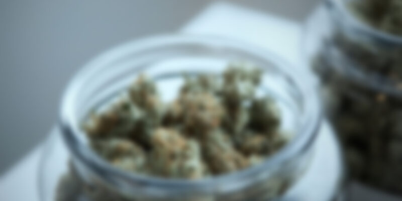 https://stonersplug.com/wp-content/uploads/2020/04/img_canimed_4-800x400.jpg