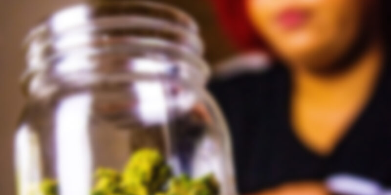 https://stonersplug.com/wp-content/uploads/2020/04/img_canimed_9-800x400.jpg