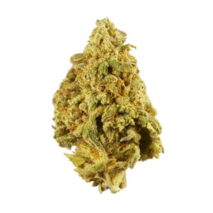 Buy 9 Pound Hammer Strain Online